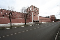 IMG 6459