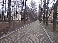 DSC04297
