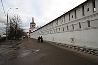 IMG 6461