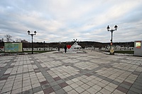 IMG 6476