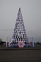 IMG 6526