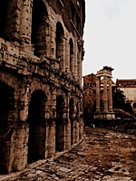 IMG 2438 001