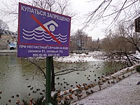 DSC04381
