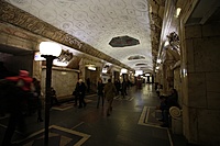 IMG 6519