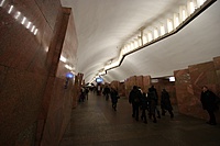 IMG 6603