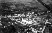 eilatgordinlevitan
