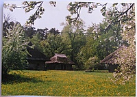 rms