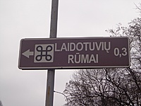 DSC04610