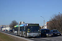 DSC 3897