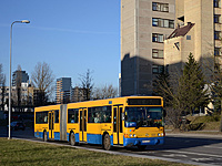 DSC 3913