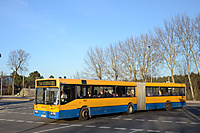 DSC 3932