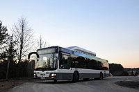 DSC 3944