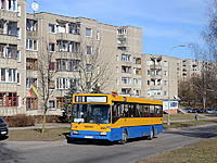 DSC 3960