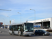 DSC 3996