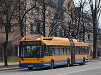 DSC 4479