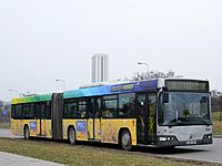 DSC 4463