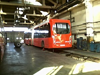 van hool
