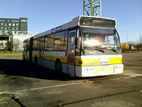 daf