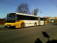 daf