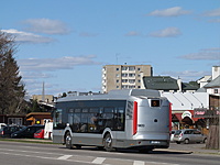 IMG 2457