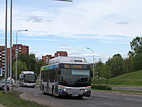 IMG 2966