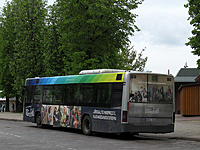 IMG 3078