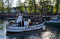 DSC 0798