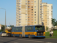 IMG 3173