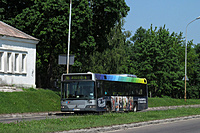 IMG 3598