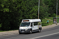 IMG 3601