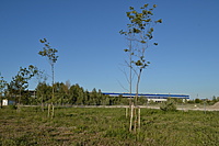 DSC 0730