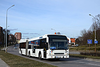 DSC 4396