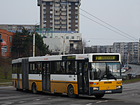 DSC 4426
