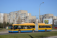 DSC 4519