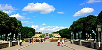 IMG 4736
