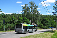 IMG 4336