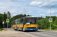 IMG 4342