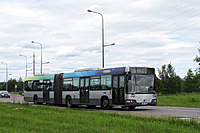 IMG 4352