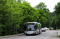 IMG 4354