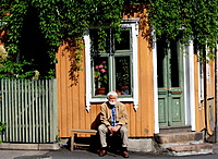 IMG 1556 001