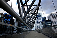 IMG 1718