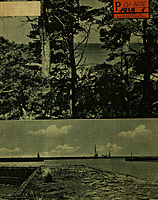 C1C1B00000546191939