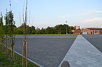 DSC 0394