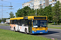 DSC 5438