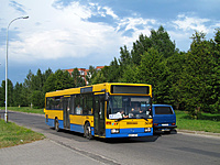 IMG 5346