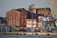 DSC 0330