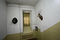 IMG 8179