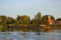 DSC 0365