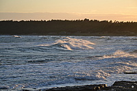 DSC 0455 001