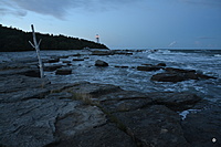 DSC 0499